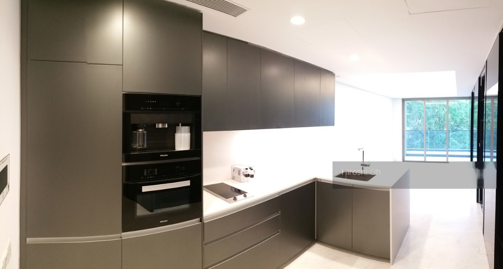 Cairnhill Nine (D9), Apartment #133002302